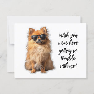 Cute Pommern-Hund önskar att du var här och saknad Vykort