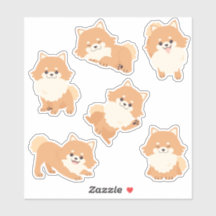 Cute Pommern Puppies