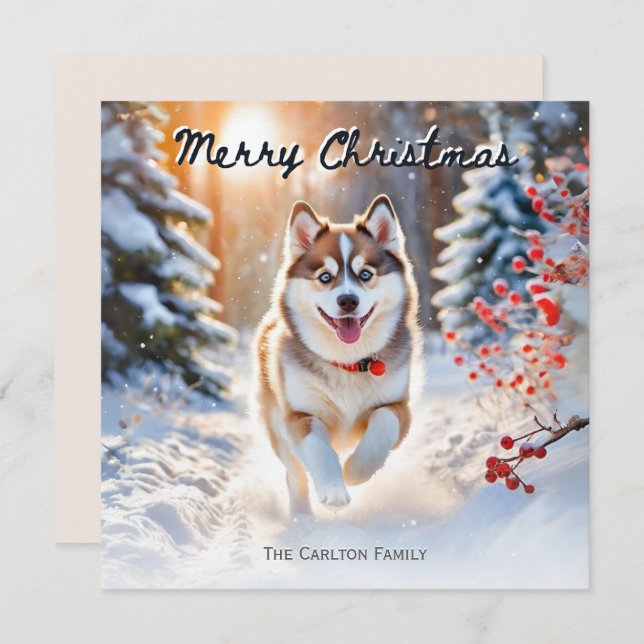 Cute Pomsky Hund i Snö Winter God jul Julkort (Fram/baksida)