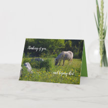 Cute pony, häst, naturens grönt, att tänka på dig