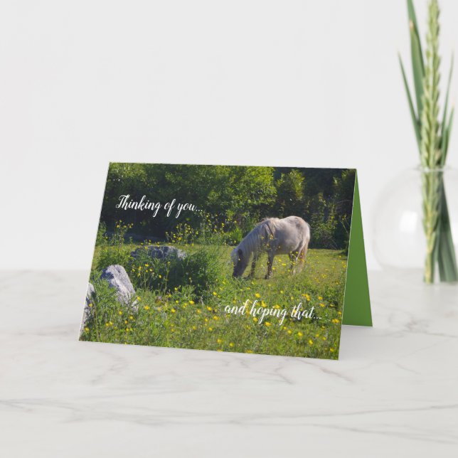 Cute pony, häst, naturens grönt, att tänka på dig kort (Framsida)