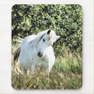 CUTE PONY MUSMATTA