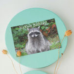 Cute Posing Raccoon Funny Wildlife Birthday Kort<br><div class="desc">Natur,  lustigt födelsedagskort för allt som innehåller fotobilden av en söt,  utklädd Raccoon tillsammans med en humoristisk födelsedag hälsning inuti. Välj från projektionsyta eller glansigt stil-kort.</div>