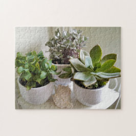 Cute Poted Succulents med Seashell Photo Pussel