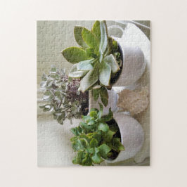 Cute Poted Succulents med Seashell Photo Pussel