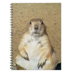 Cute Prairie Hund Notebook Anteckningsbok Med Spiral