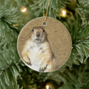 Cute Prairie Hund Ornament