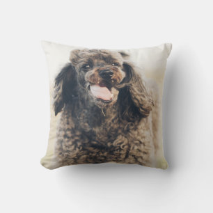 Cute Pudel Hund Ansikte Smile Smila Kudde
