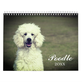 Cute Pudel Hund Kalender