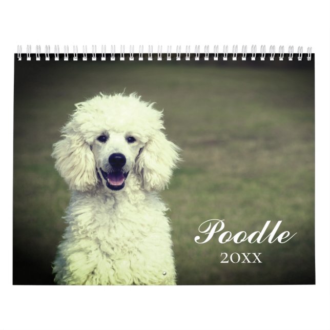 Cute Pudel Hund Kalender (Omslag)
