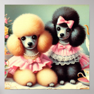 Cute Pudel Illustration Poster