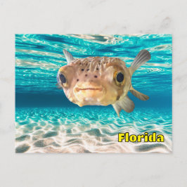 Cute Puffer Fish in Ocean Peace Underwater Vykort