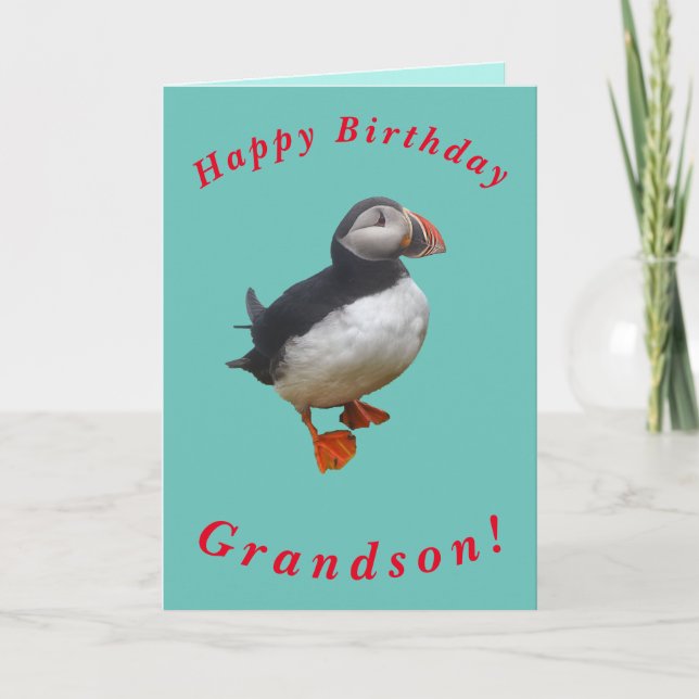 Cute Puffin Birthday Card for Grandson Kort (Framsida)