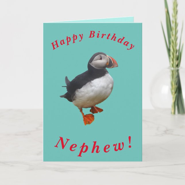Cute Puffin Birthday Card for Nephew Kort (Framsida)