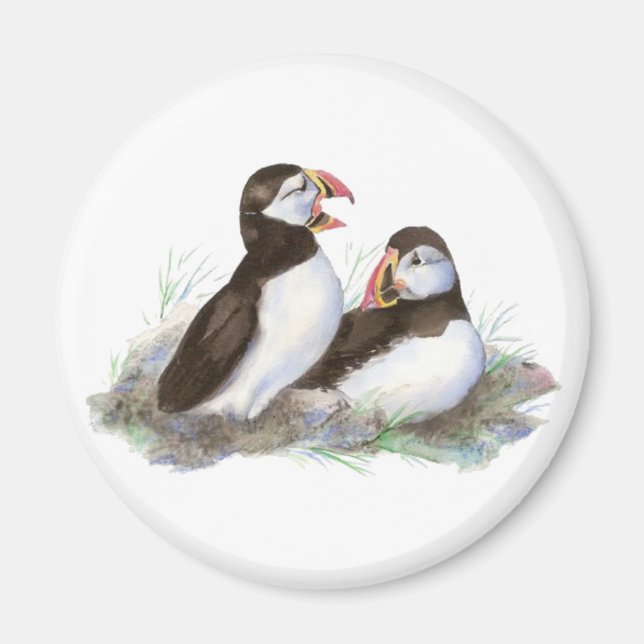 Cute Puffins, Ocean Bird, Beach, Natur Magnet (Framsidan)