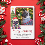 Cute Pug and Julgran Pet Hund One Photo Julkort<br><div class="desc">Den här söta Pug-julkortet har en pug med en julhatt sitta framför ett tänt Julgran. Hälsningen på kortet lyder "God jul", budskapet lyder "Vi hoppas att din julhelg är tass-vänlig fantastisk!" och slutligen finns det en hälsning. Alla de här avsnitten kan vara personlig att läsa hur du vill och dessutom...</div>