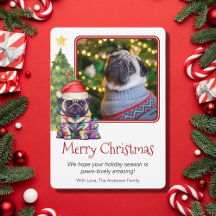 Cute Pug and Julgran Pet Hund One Photo