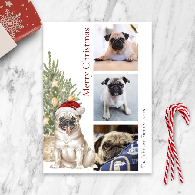 Cute Pug and Julgran Pet Hund Photo Julkort (Skapare uppladdad)