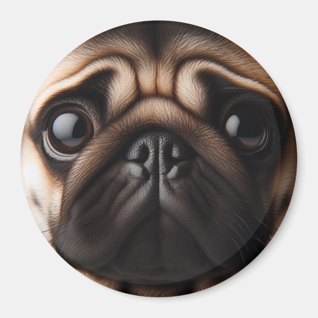 Cute Pug Ansikte Pug Hundar Magnet (Framsidan)