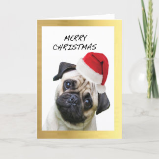"Cute Pug"-design - julkort Helgkort