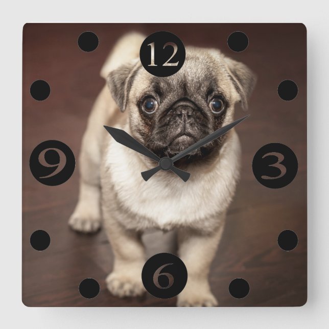 Cute Pug Fyrkantig Klocka (Framsida)