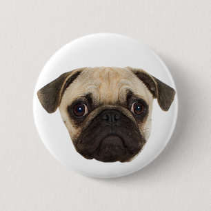 Cute Pug-gåvor Knapp