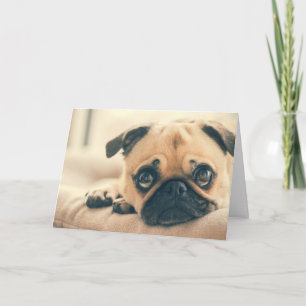 Cute Pug-hälsningskort Helgkort