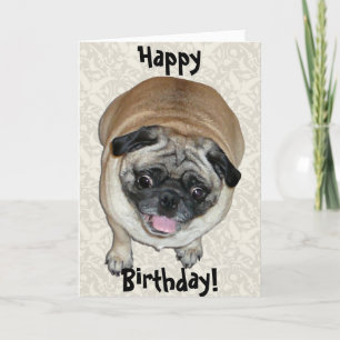 Cute Pug Hund Birthday Kort