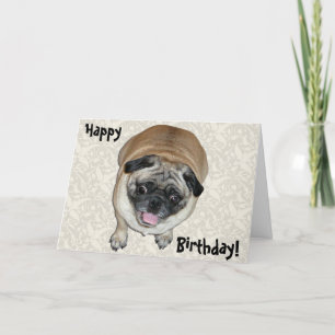 Cute Pug Hund Birthday Kort