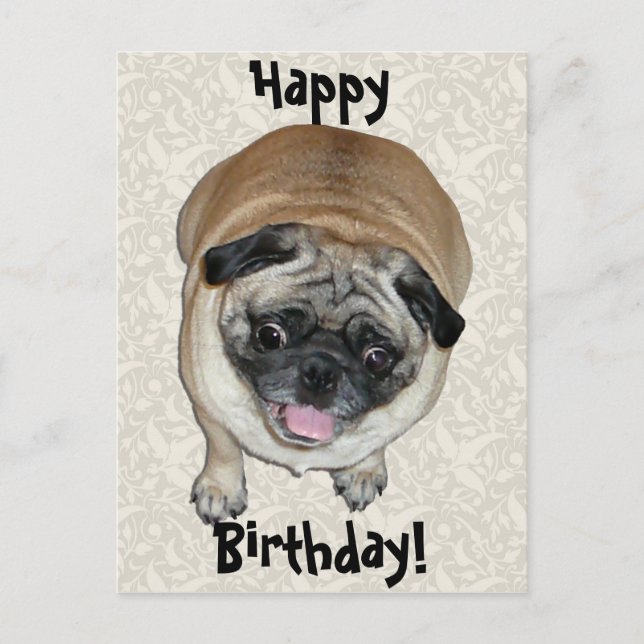Cute Pug Hund Birthday Vykort (Framsida)