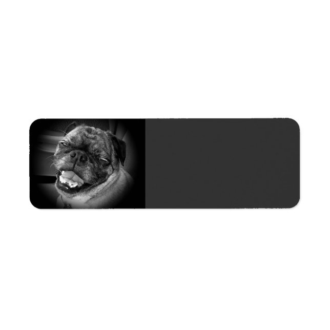 Cute Pug Hund-etikett Returadress Etikett (Framsidan)