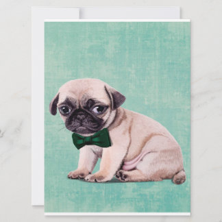Cute Pug Hund Gift| Cute Hund for Birday