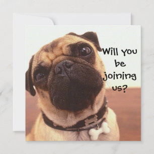 Cute Pug Hund Personlig Party Inbjudan
