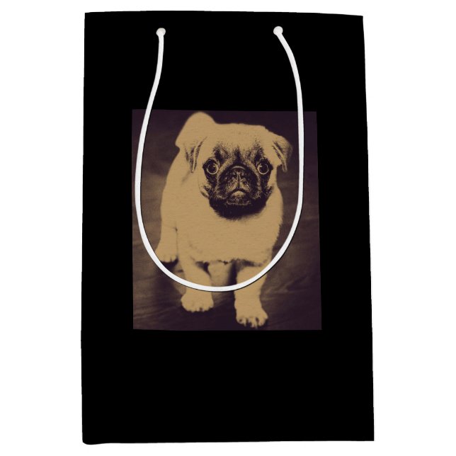Cute Pug Hund Porträtt (Framsidan)