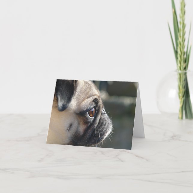 Cute Pug Profile Note Card - tomt Kort (Framsida)