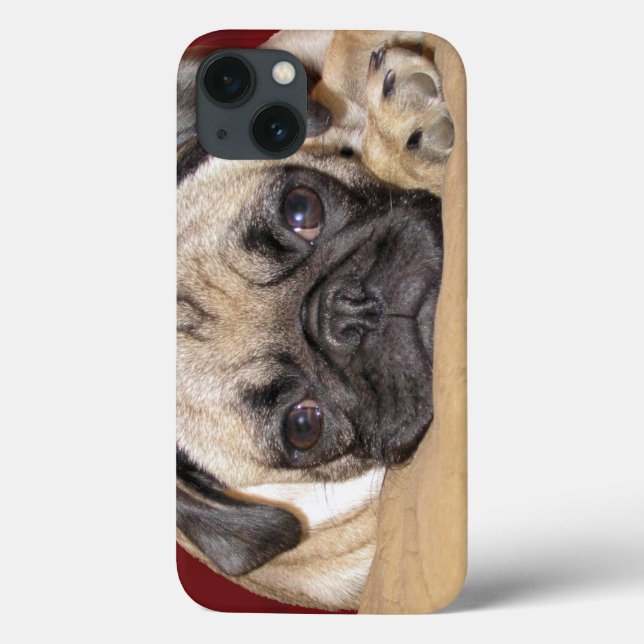Cute Pug Puppy (Baksida)