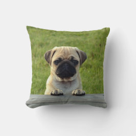 Cute PUG Puppy - anpassa den Kudde
