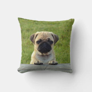 Cute PUG Puppy - anpassa den Kudde