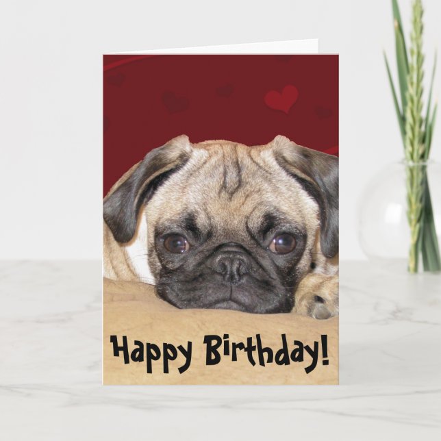 Cute Pug Puppy Birthday Wish Kort (Framsida)