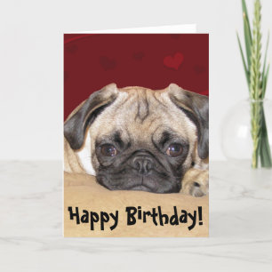 Cute Pug Puppy Birthday Wish Kort