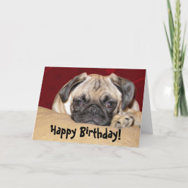Cute Pug Puppy Birthday Wish Kort