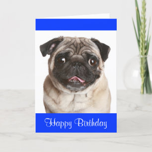 Cute Pug Puppy Grattis på födelsedagen-hälsningsko Kort