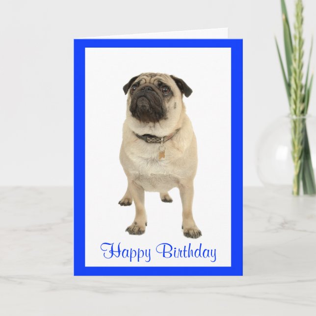 Cute Pug Puppy Grattis på födelsedagen-hälsningsko Kort (Framsida)