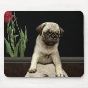 Cute Pug Puppy Hund-älskare Gift-serien Musmatta