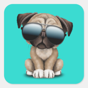 Cute Pug Puppy Hund, solglasögon Fyrkantigt Klistermärke