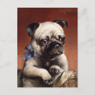 Cute Pug Puppy Hund Vykort