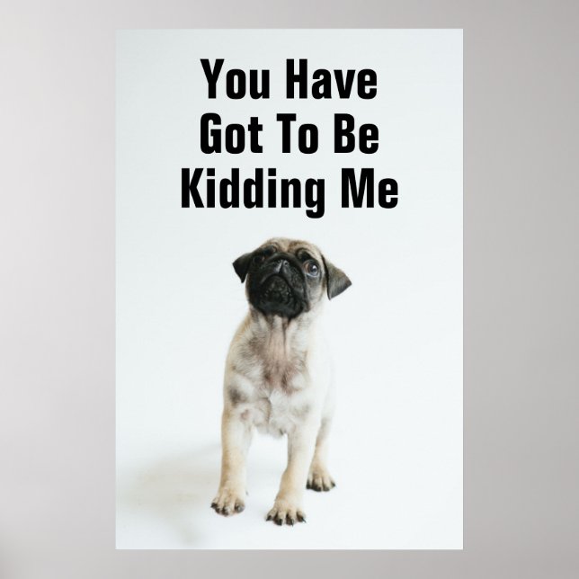 Cute Pug Puppy Poster (Framsidan)
