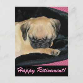 Cute Pug Puppy Vykort