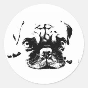 Cute Pug Vintage Hipster-etikett Runt Klistermärke