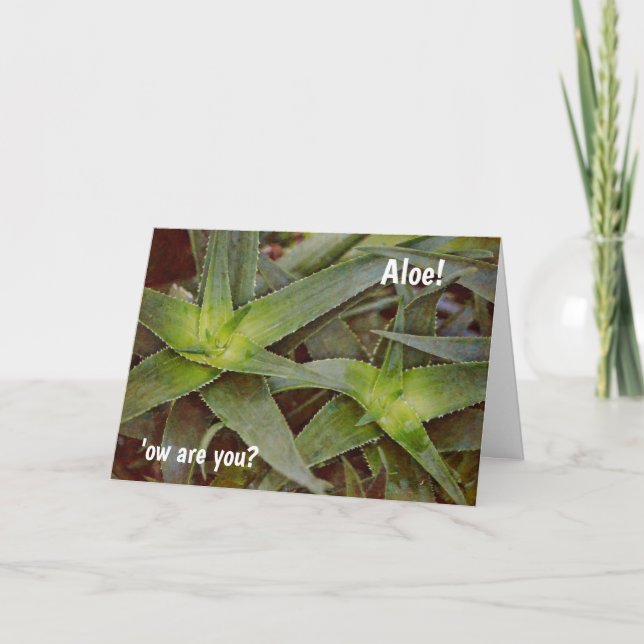 Cute Pun Cactus Aloe Hej Thinking Card Kort (Framsida)